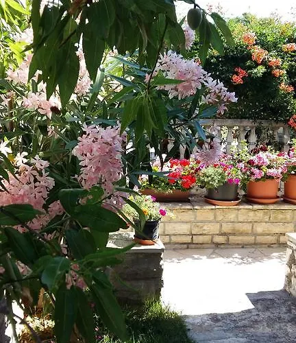Apartmán Santa Barbara