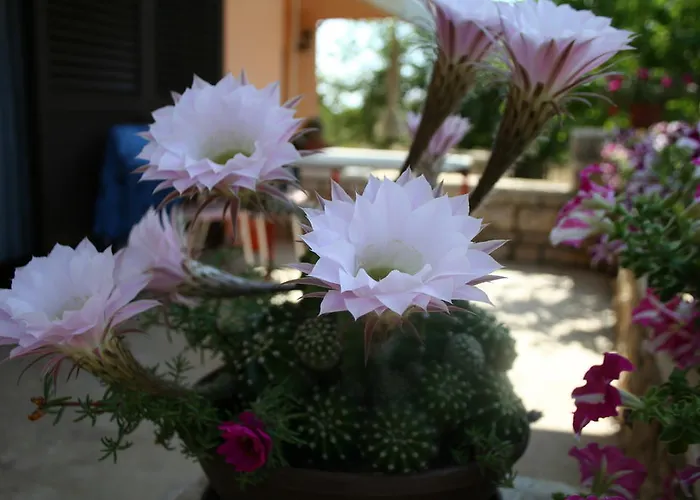 Santa Barbara Weißenburg